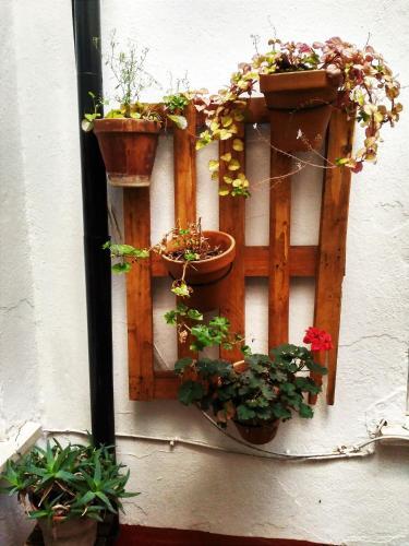 Apartamento Turyronda Pasoslargos