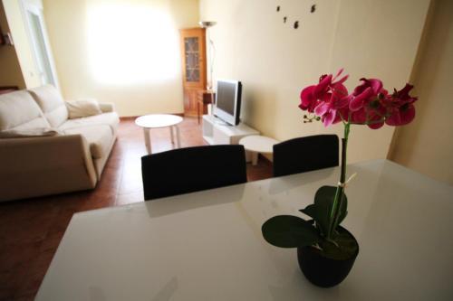 Apartamento Vivaldi - Roquetas De Mar