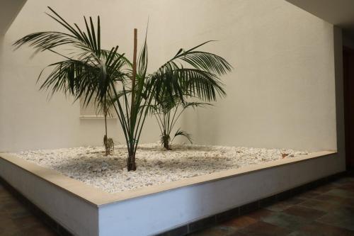 Apartamento Aquamarina 105