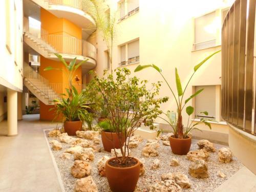 Apartamento Els Olivars
