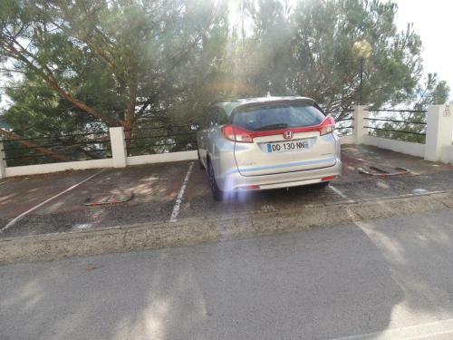 Ibiza 11