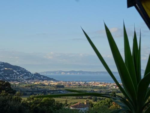 Villa Asturies 7