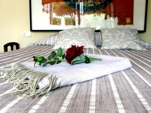Villa Mas Sibils, Espectacular Masia Con Piscina Privada Y Wifi Gratis