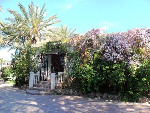 Apartments Concha Del Mar