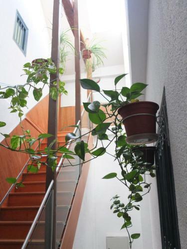 Hostal Los Angeles Plaza