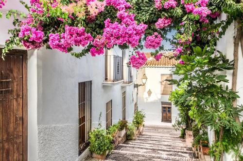 Villa Blanca