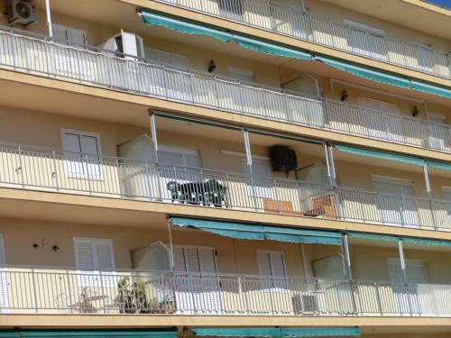 Apartamento Miramar Serveis - Cal Paris