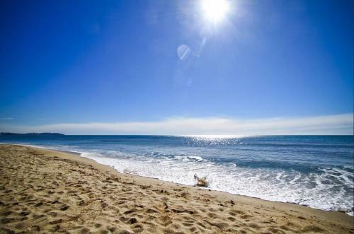 Apartamento Cala Daurada Sun & Beach