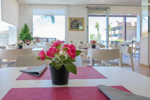Apartamento Zeus Premium Salou