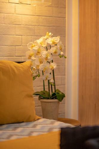 Apartamento ****barbara Hello-salou
