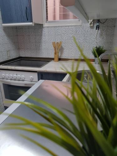 Apartamento Avellanos!!!