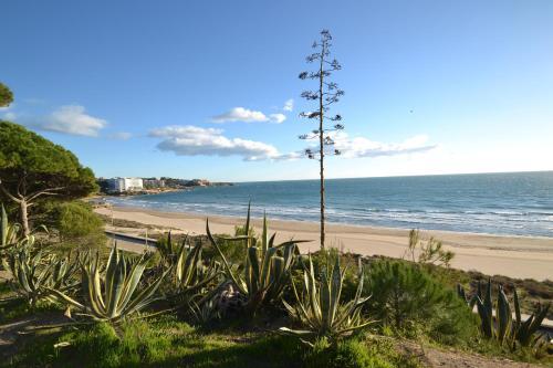 Apartamento Wvp - Montserrada 2