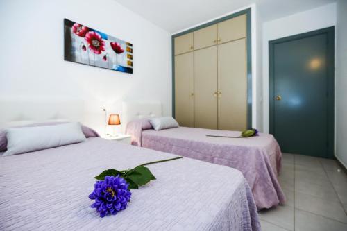 Apartamento Miramar Planet Costa Dorada