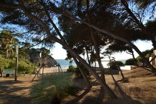 Apartamento Wvp - Calafont 4