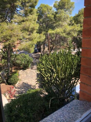 Apartamento Sunandbed �tico Faro