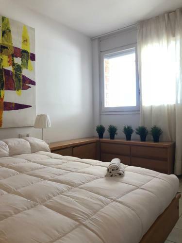 Apartamento Sunandbed Faro