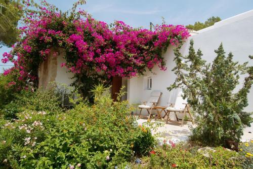 Villa Buena Vista