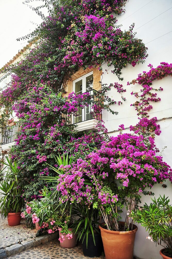 Hotel 7pines Resort Ibiza