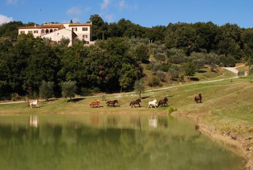Hotel Fattoria Di Voltrona