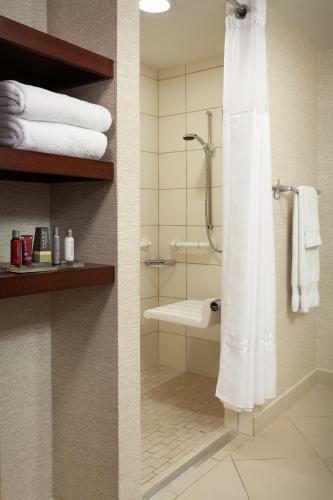 Hotel Tampa Airport Marriott