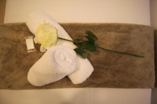 Hostal Pensi�n San Martin