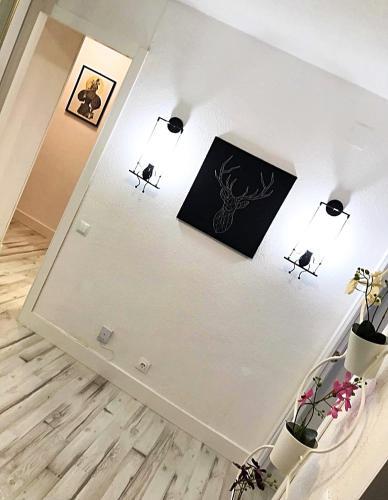 Apartamento Gifsa Sanse Avenida