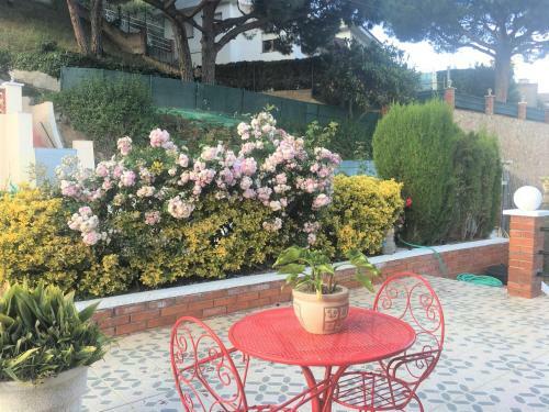 Conjunto De Dos Apartamentos En Casa Unifamilar Con Piscina