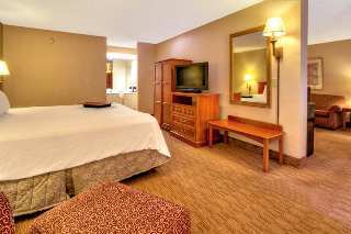 Hotel Hampton Inn Chattanooga Airport
