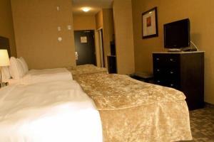 Hotel Best Western South Edmonton Inn & Suites