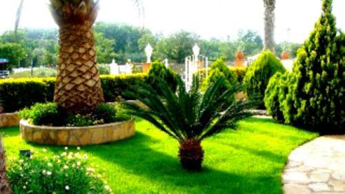 Casa Con Jardin Y Piscina En El Nau