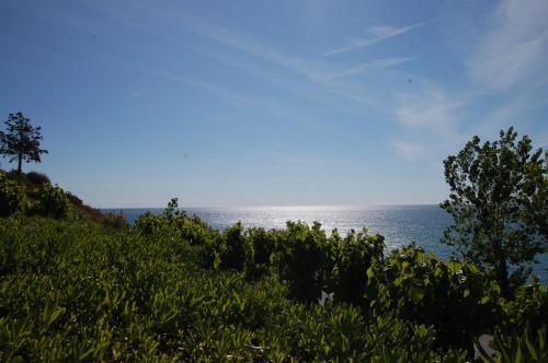 Casa Ona Mar