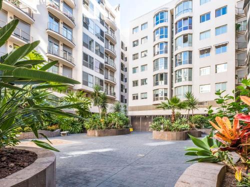 Apartment Estrelitzia