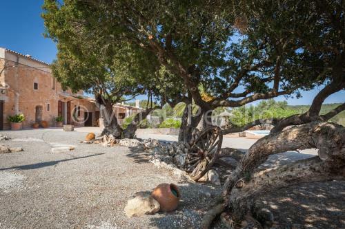 Agroturismo Sa Posada