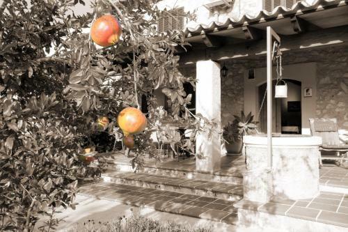 042 Santa Margalida