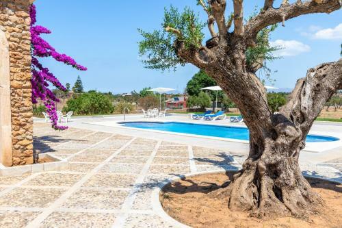 Villa Can Turquesa / Casa Turquesa
