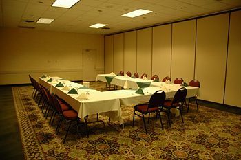 Hotel Holiday Inn Chico