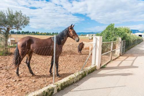 Villa Can Grau (can Grau 24)