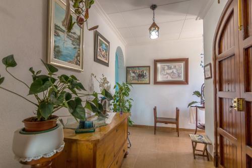 Sa Marina - Country House