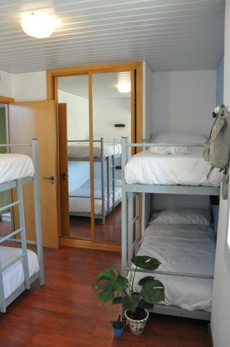 Lemon Garden Hostel Sevilla