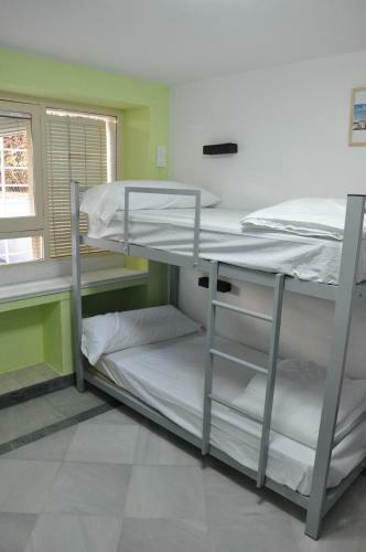 Lemon Garden Hostel Sevilla