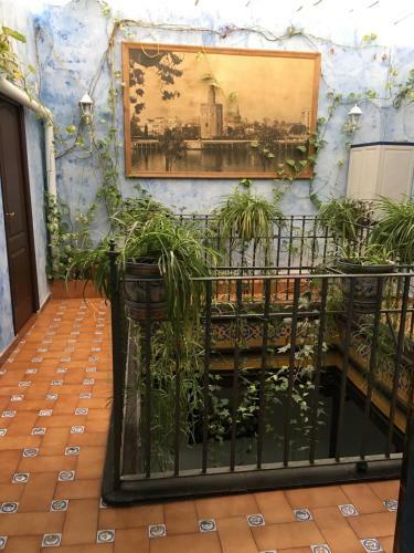 Hostal Lisdos