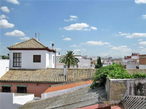 Apartamento �tico La Juder�a (v33)