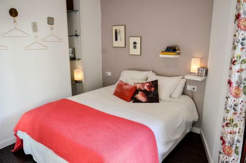 Apartamento Alohamundi Campana