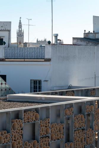 Apartamento Alfarer�a