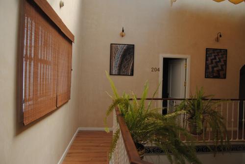 Hostal Pensi�n C�rdoba