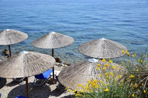 Hotel Lido Corfu Sun