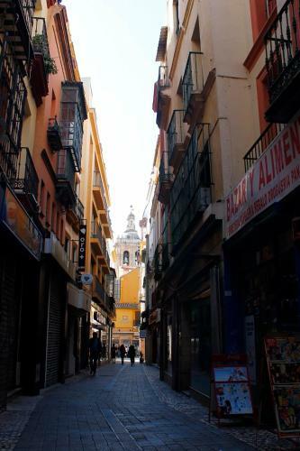 Apto �nico 3 Plantas Con Terraza, Sojo Sevilla