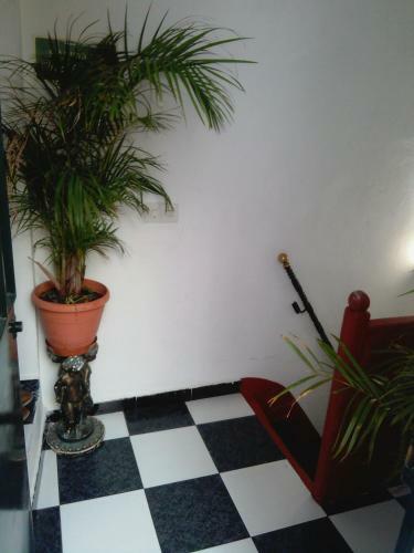 Hostal Pension Virgen De La Luz