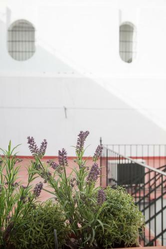 Apartamento Sevilla Blossom. Elegant And Bright 2 Rooms - 3px
