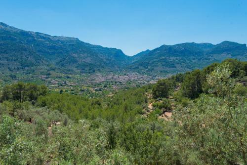 Villa Son Bou